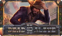 http://Dead%20or%20Alive%20II
